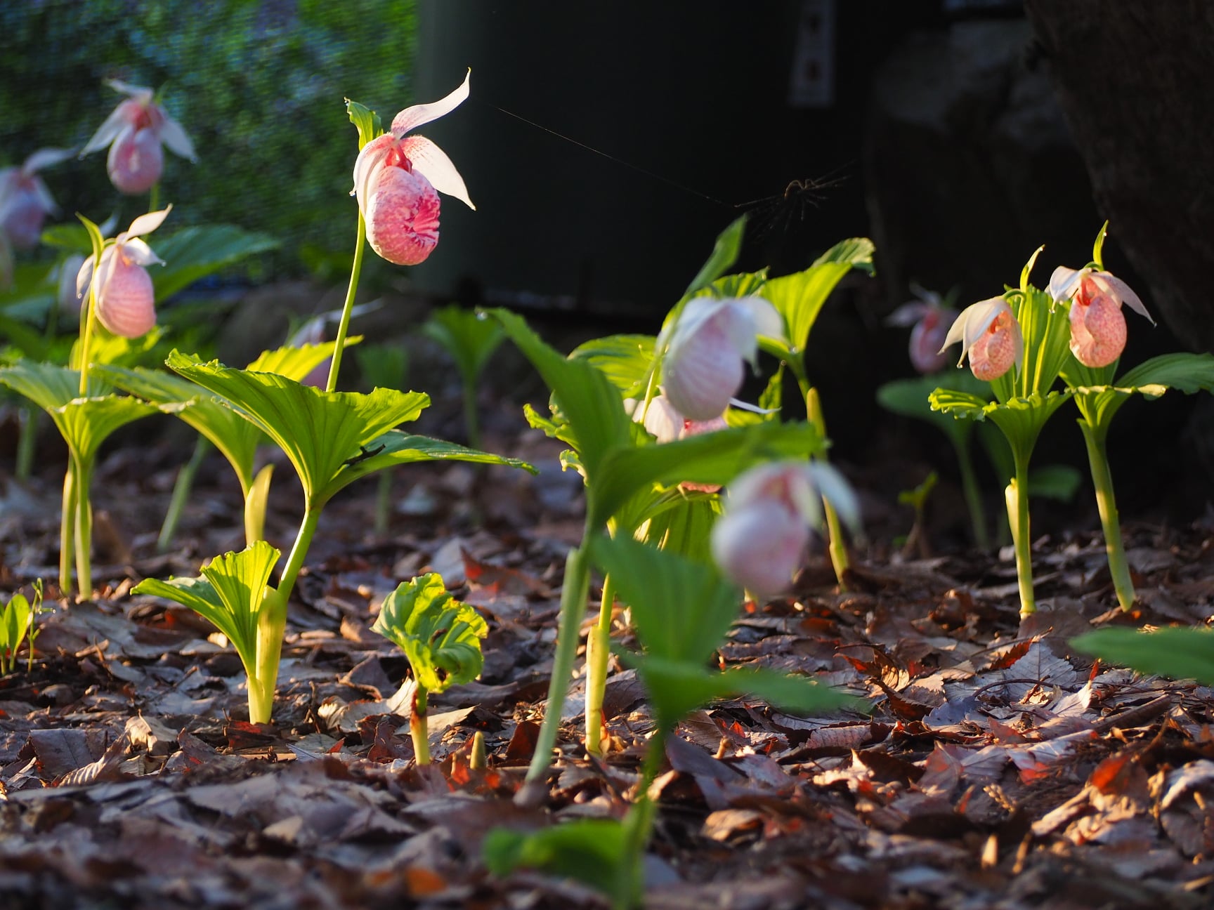 279953863_4827245377387772_507